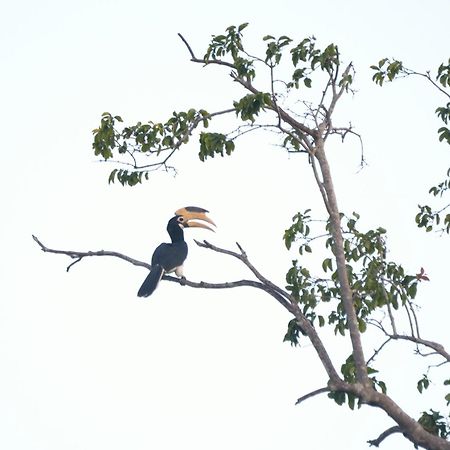 Pelican View Cottages Kataragama Exteriör bild