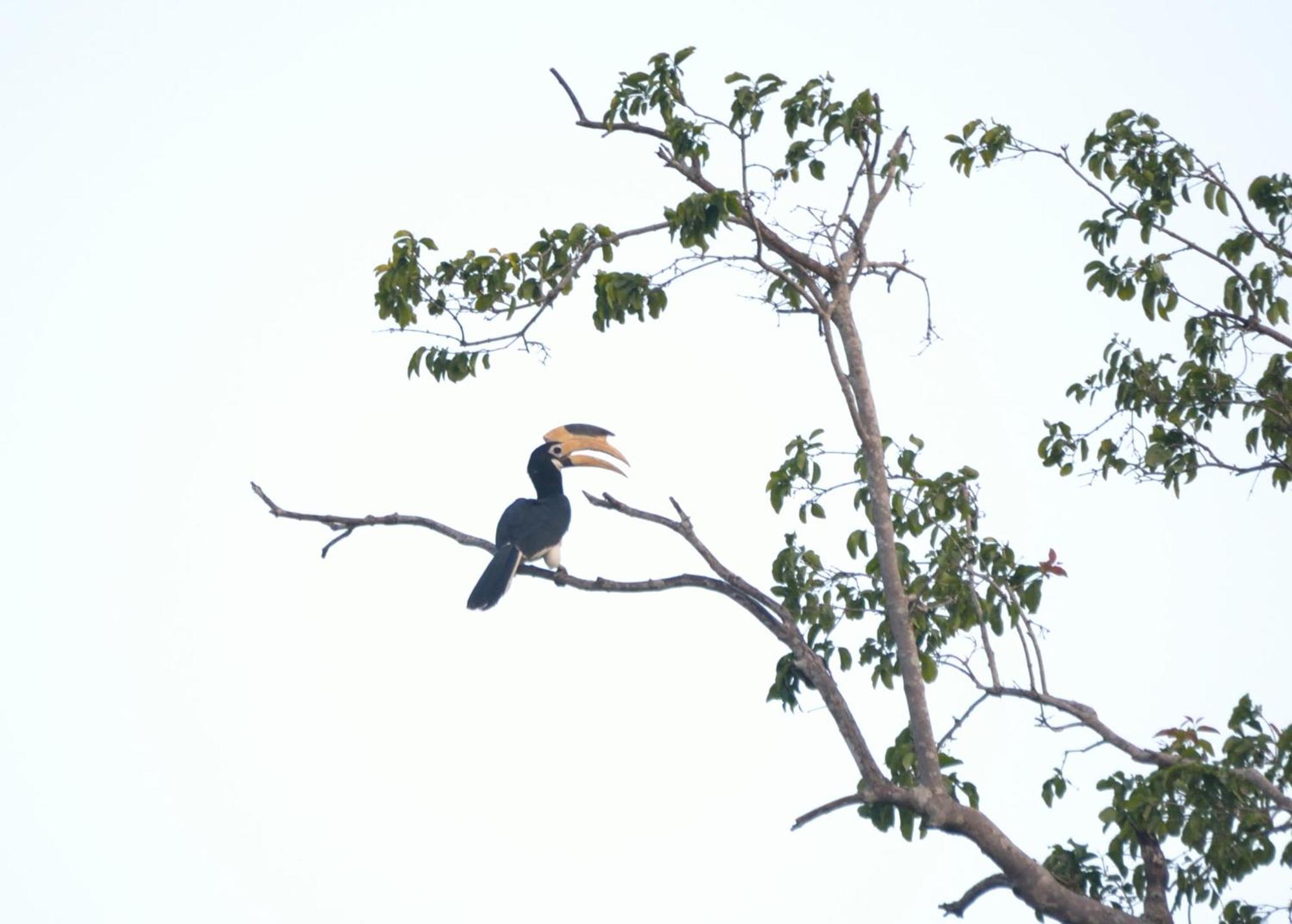 Pelican View Cottages Kataragama Exteriör bild